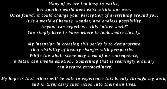 Many of us are too busy to notice, but another world does exist within our own. Once found, it could change your perception of everything around you. 
It is a world of beauty, wonder, and endless possibility. 
Anyone can experience this �other world�
You simply have to know where to look...more closely. 

My intention in creating this series is to demonstrate 
that visibility of beauty changes with perspective.  
While the whole scene may seem of no consequence, 
a detail can invoke emotion.  Something that is seemingly ordinary 
can become extraordinary.

My hope is that others will be able to experience this beauty through my work, 
and in turn, carry that vision into their own lives. 